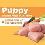 IAMS Smart Puppy Dry Dog Food with Real Chicken, 7 lb. Bag - Image 5