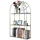 DAOYIJIAJU Decorative Wall Shlef 3-Tiers Modern Metal Frame Shelves