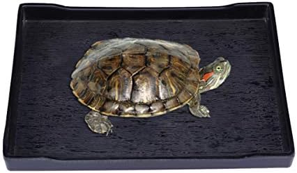 ULTECHNOVO Pet Supplies Tortoise Habitat Reptile Food and Water Bow, Tortoise Feeder Lizard Habitat Large and Small Amphibian Feeding Plates (Black) Reptile Water Dish Hermit Crab Supplies