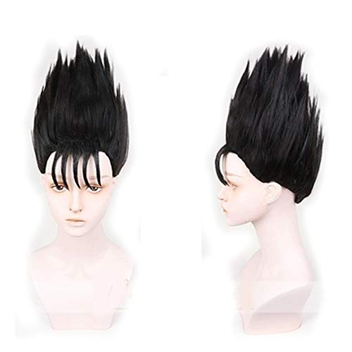 RXvEBbO 牴!! ɓ^i Ƃ   Jc   Jc cosplay wig ϑ  RX`[ VfUC