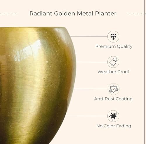Image of Two layer lucky bamboo | For Living Room or Office table | indoor plants for good luck and air purification (Bamboo Metal Pot)
