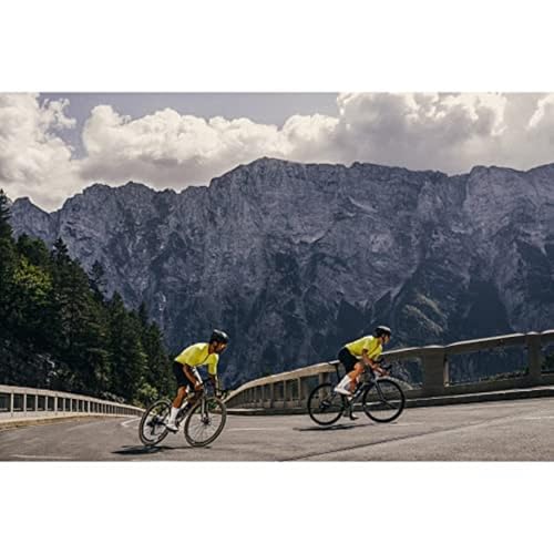 GORE WEAR Gorewear Unisex Essential Daily Socks4