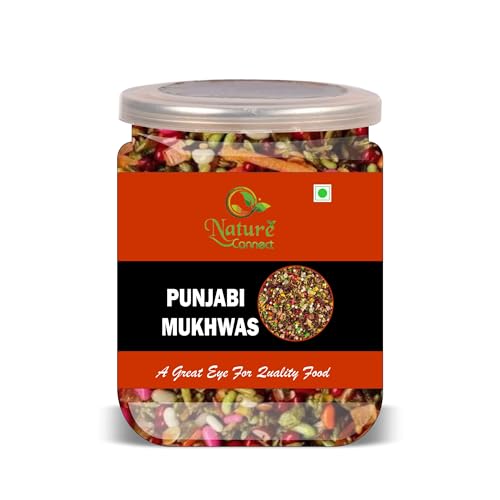 NATURE CONNECT Punjabi Mukhwas 300 Gram Airtight Container image 3