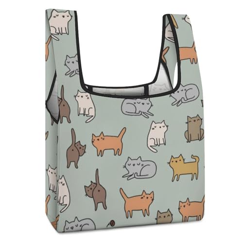 [EXDYNA] ܂肽 킢 ˂ L GRobO e y ϋv RpNg  VbsOobO Wܑp ^ѕ֗ g[g^ JԂg ʋ ʊw s