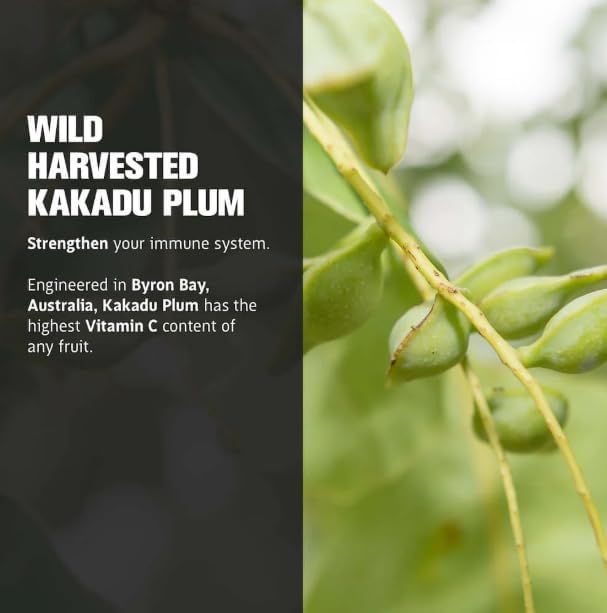 Life Cykel - Chaga Mushroom Extract with Kakadu Plum - Double Extracted Mushroom Tincture - Non-GMO Immune Support Supplement for Adults and Kids - 1 Fl Oz - Image 7