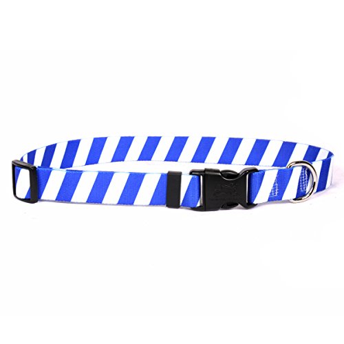Image of Yellow Dog Design Team Spirit Royal Blue and White Break Away Cat Collar-One Size Fits All