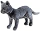 Schule der Magischen Tiere Katze GRS/PET Karajan, Grau