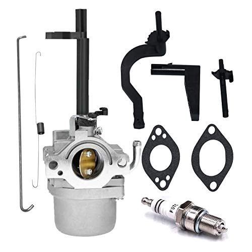 Carbman 591378 Carburetor Replacement For Bs 697978 796321 696132 696133 796322 697351 699958 699966 698455 695918 694952 695919 695330 796323 695920 695328 Carb #TOP24