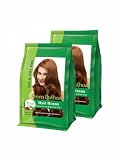 Prem Dulhan Hair Henna 125 g/4.40 Ounce for Vibrant & Long-Lasting Results, Natural Brown Shade, Ammonia-Free & PPD-Free Coloring, Sachets (Natural Brown, 125 gm (Pack of 2))
