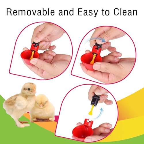 Cyrading 2 peças sistema de bebedouro automático copos de água para pintinhos 1l pendurado preenchim