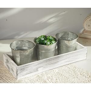 SOFE Herb Garden Planter Indoor, Windowsill Metal Planter Set of 3 with Wood Tray, Farmhouse Flower Pot Galvanized Bucket Planter, Small Potting Pots for Rosemary, Basil, Cilantro SOFE Herb Garden Planter Indoor Windowsill Metal Planter Set of 3 with Wood Tray Farmhouse Flower Pot Galvanized Bucket Planter Small Potting Pots for Rosemary Basil Cilantro
