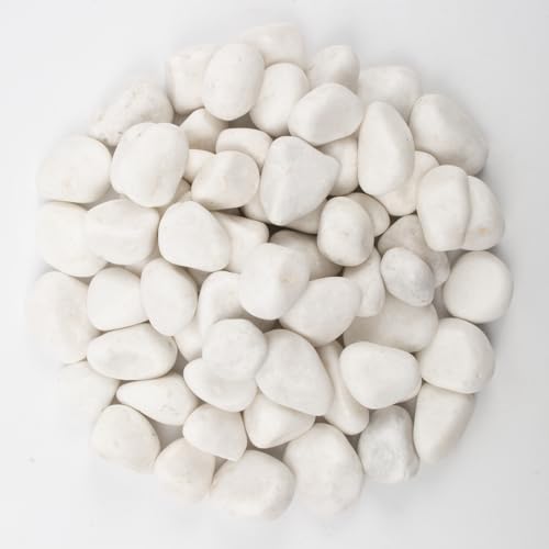 Image of 10lbs White River Rocks, Polished Pebbles for Plants, Garden, 1-2 Inch Decorative Stones, Ideal for Fish Tanks, Vases, Crafting, and Landscaping (Weight : 10 LB, Pure White)