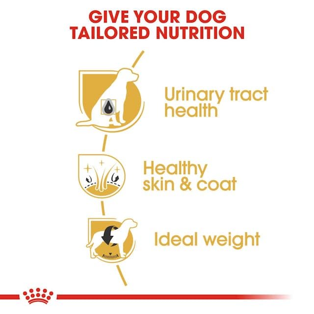 Royal Canin Bichon Frisé Adult | 1,5 kg | Croquettes pour chiens adultes | Peut soutenir la peau et le pelage | Peut contribuer à la santé urinaire | Pour chiens à partir de 10 mois