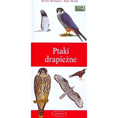 Ptaki drapieżne. Przewodnik