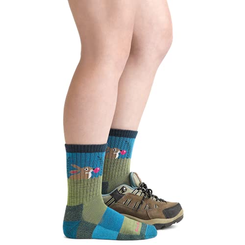 Darn Tough Bubble Bunny Jr. Micro Crew Juniors Sock (Style 3032)4