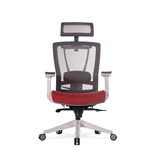 Autonomous Premium 2021 Ergonomic Office Chair: Lumbar ...
