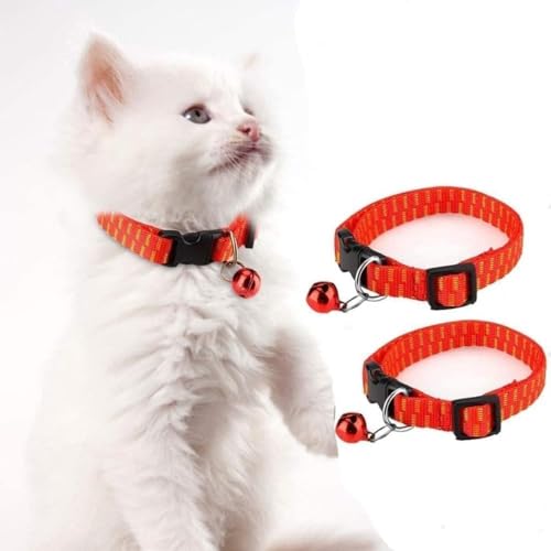 JuneSunm~E_jܓLpցA2pbNAqLɍœKAŒ6LAŋۉ\A߉\AxALpitB