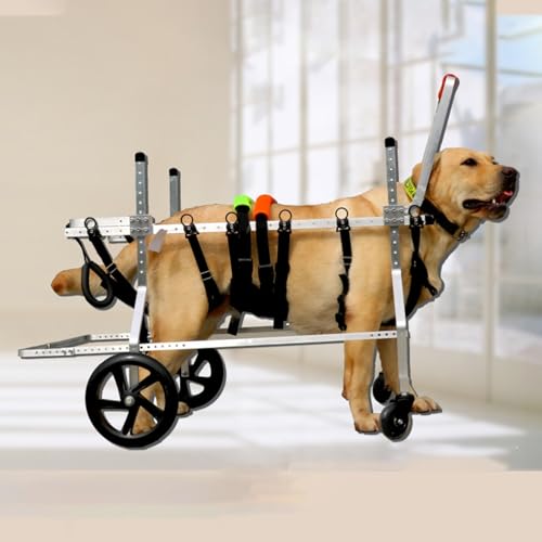 Fauteuils roulants pour chiens de toutes tailles avec attelles réglables