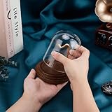 Zoom IMG-1 ph pandahall orologio vetro espositore Zoom IMG-1 ph pandahall orologio vetro espositore