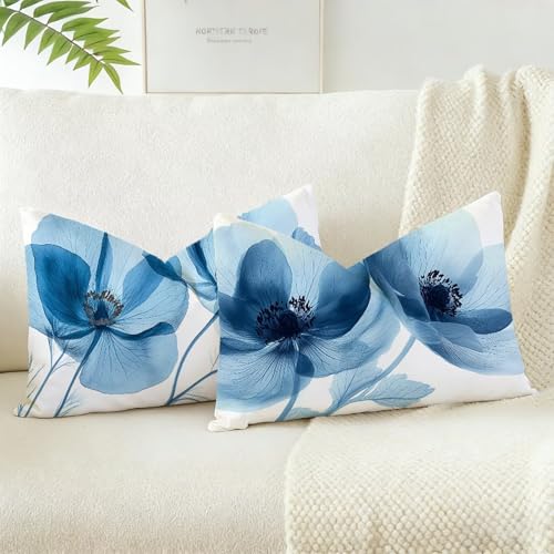 Fundas de Cojín 30x50 cm Juego de 2, Azul Cojines Exterior Jardin Decorativas Impermeables Exterior Estilo Terciopelo Diseño de Funda Cojin, para Sofá Terraza Jardín Salón Dormitorio Flor D-965