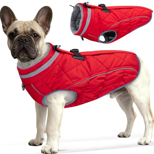 Yoochee Dog Coat Waterproof Built-In Harness