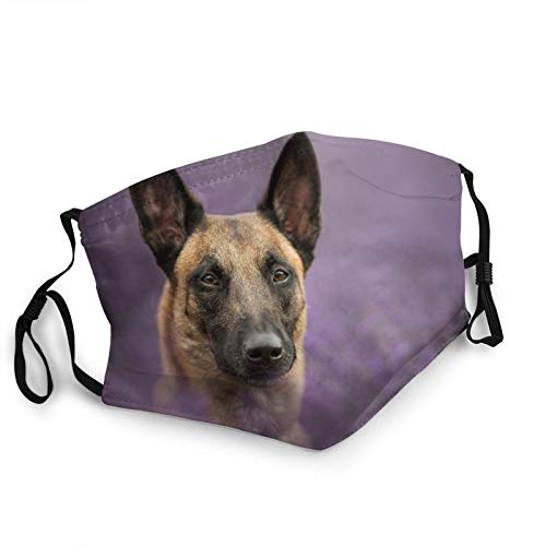 Best Dog Muzzle For Belgian Malinois 10Reviewz