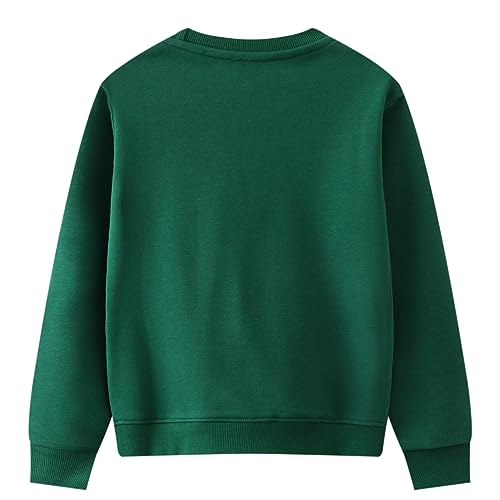 Image of Popshion Toddler Boys Sweatshirt Cotton Lightweight Kids Winter Warm Sweater Crewneck Pullover Tops