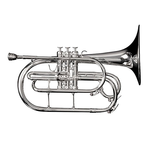 The 24 Best Mellophones of 2024 [Verified] Cherry Picks