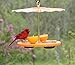 Kettle Moraine Super Oriole Recycled Orange Fruit, Jelly, Mealworm Bird Feeder w/Orange Roof