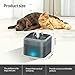 Petbuy Ultra-Quiet Pet Water Fountain for Cats Dogs, 2L Automatic Dog Water Dispenser Pet Flower Cat Water Fountain,Grey