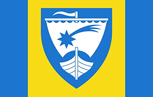Drapeau Saaremaa vald lipp grand format pour événement et mât