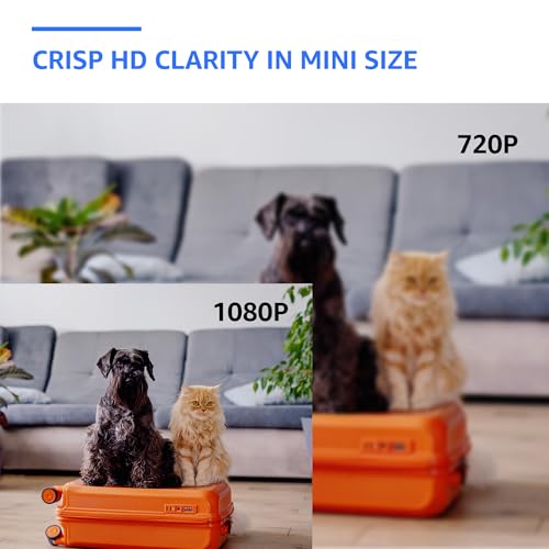 Image of ALPHA TECH Wall-Powered Smart Camera - Pet Monitoring