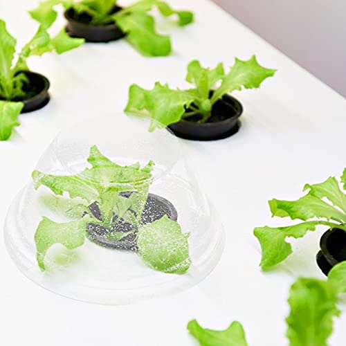 YARNOW 50Pcs Tuin Cloche Plastic Plant Cover Vochtigheid Dome Voor Groente Starten - Afbeelding 3