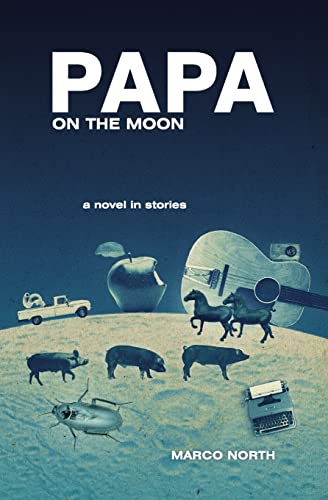 Papa on the Moon view 2