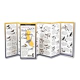 Earth Sky + Water FoldingGuide™ - Sibley’s Birds of the California Coast -...