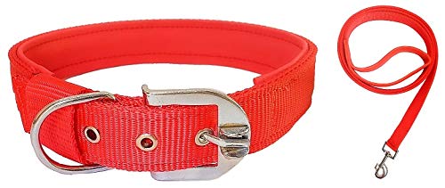 Petley Export Quality Padded Dog Pin-Buckle Collar and Strap Dog Leash Combo Set for Large Dogs German Shephard, Boxer, Golden Retriever, Labrador Retriever, Rottweiler, Dalmatian, Doberman (Red) (B08C7TXR26) Amazon Price History, Amazon Price Tracker