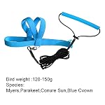 Adjustable Bird Harness with 80 Inch Leash, Outdoor Flying Training Rope Kit for M Size Bird Parrot Weight 120-160 Grams, Blue - Image 2