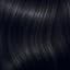 Midnight Onyx