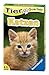 Produktbild Ravensburger 20421 - Tierquartett Katzen, Klassiker für 3-6 Spieler ab 4-12 Jahre, 32 Katzenrassen