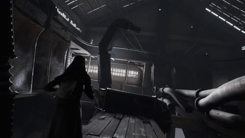 Indika Nintendo Switch - vue 5