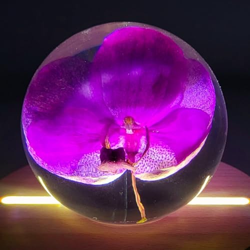 Image of 2.6 inch Real Purple Orchid in Crystal Clear Lucite Resin Ball October Birth Month Flower Anniversary Wedding Engagement Valentine Gift Botanist Herb Herbarium Paperweight Display Decor Collection