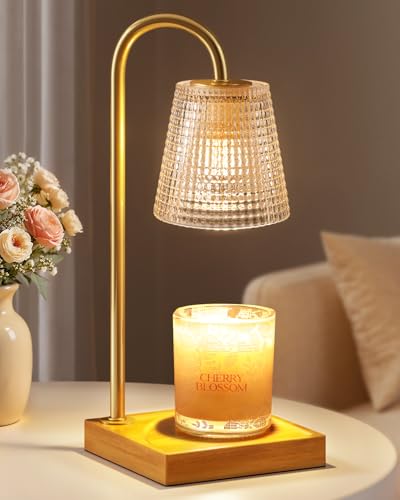 Hong-in Candle Warmer Lamp with Timer Dimmer,Birthday Gifts for Women