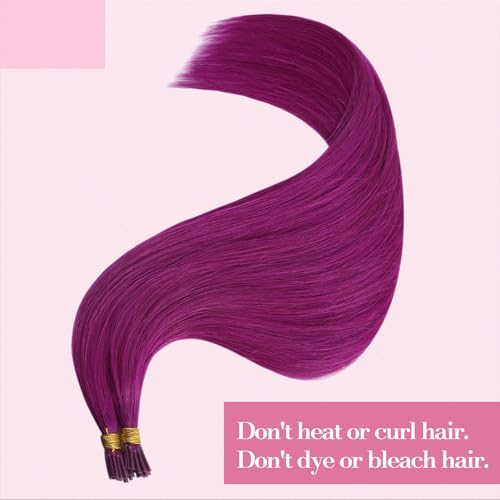Image of YoungSee I Tip Extensions 20 Inch, Purple Itip Human Hair Extensions Purple, Cold Fusion, Itips Extension, Remy Hair, 25 Strands 25g, for Photo Shoots