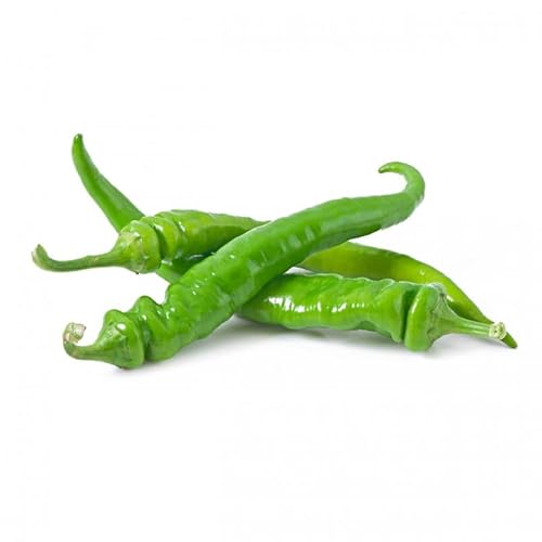 La zappa Semi di peperone piante per orto e giardino coltivazione domestica e professionale (Friggitello)