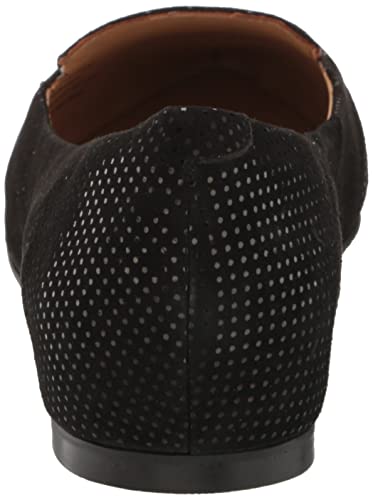 Image of Trotters Harlowe