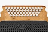 Harmonikaknöpfe Perlmutt weiß 46 Stück für Steirische Harmonika – hochwertige Diskantknöpfe zum Nachrüsten & Reparieren – edles Design, langlebig & passgenau – Zubehör für Volksmusikinstrumente
