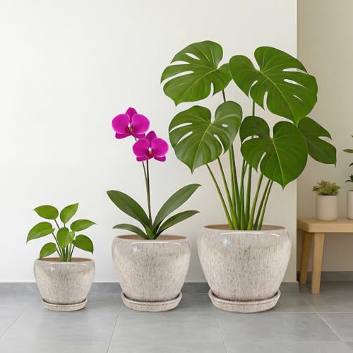 Deep Dream 10 Inch Plant Pot- Ceramic Planter Pot Round Plant Pots for Indoor Plants Outdoor Large Flower Pot with Drainage Holes & Trays, Beige by Deep Dream - Used condition - Image 7