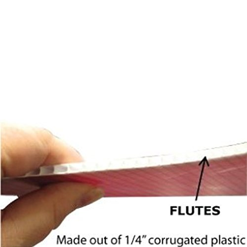 Victorystore Window Signs - Clergy Signs - 3 Inches X 12 Inches Car Window Signs - Set Of 2 - Emergency & Standard Options, 13514 #TOP4