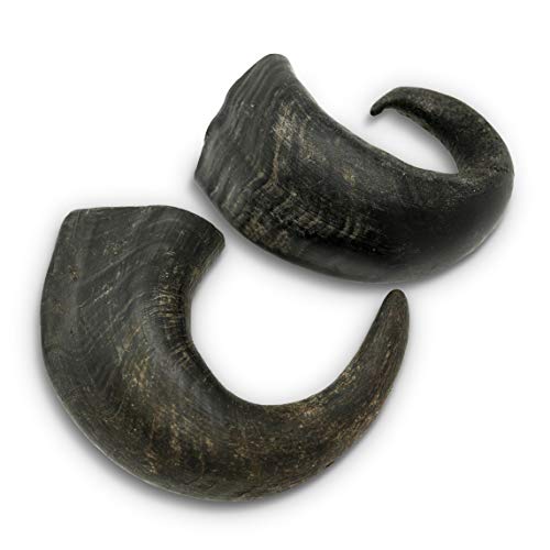 Wild Eats Water Buffalo Horn Dog Bones and Chews 2 Pack Medium No Hide