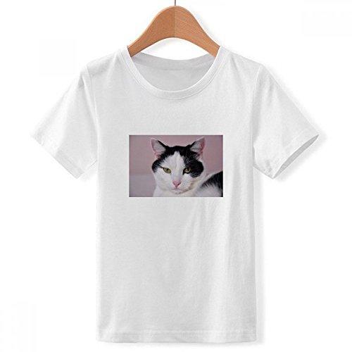 T-shirt blanc ras du cou animal chat tuxedo pour garcon de taille XXXL multicolore